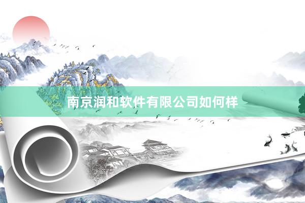 南京润和软件有限公司如何样